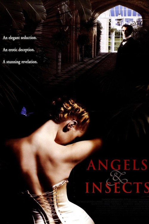 Angels and Insects poster