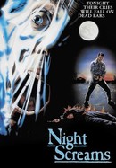 Night Screams poster image
