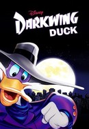 Darkwing Duck poster image