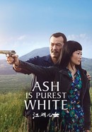 Ash Is Purest White poster image