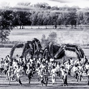 The Giant Spider Invasion (1975) photo 2