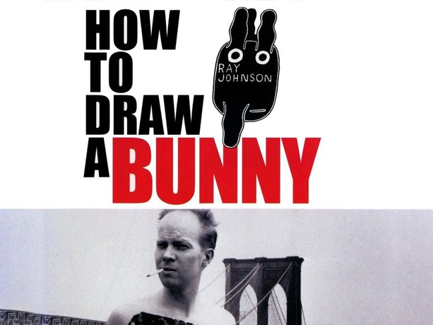 その他 How to Draw a Bunny [DVD] DVD: How To Draw A Bunny: Artist Ray Johnson Doc by John
