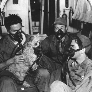 AIR FORCE, John Garfield, George Tobias, Ward Wood, 1943
