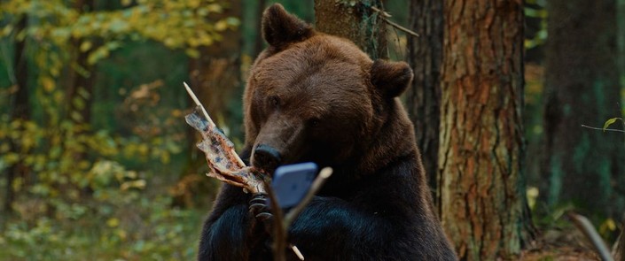 11歲女孩的森林奇遇，與 Papa Bear 找回親情與勇氣的溫馨冒險。