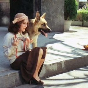 Won Ton Ton, the Dog Who Saved Hollywood (1975) photo 5