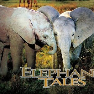 Elephant Tales photo 6