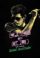 Crock of Gold: A Few Rounds With Shane MacGowan poster image