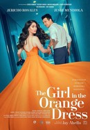 The Girl in the Orange Dress poster image