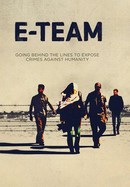 E-Team poster image