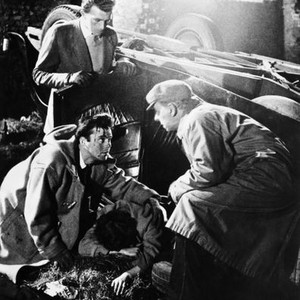 THE SLEEPING TIGER, dirk Bogarde (kneeling left), Alexis Smith (on ground), Alexander Knox (kneeling right), 1954