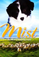 Mist: The Tale of a Sheepdog Puppy poster image