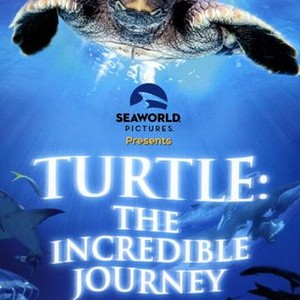 Turtle: The Incredible Journey photo 9