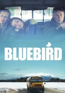 Bluebird poster image
