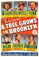 A Tree Grows in Brooklyn poster image