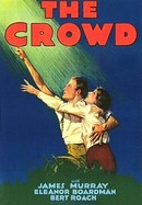 The Crowd poster image