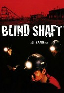 Blind Shaft poster image