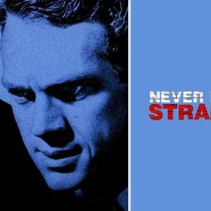 Never Love a Stranger photo 4