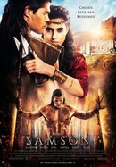 Samson poster image
