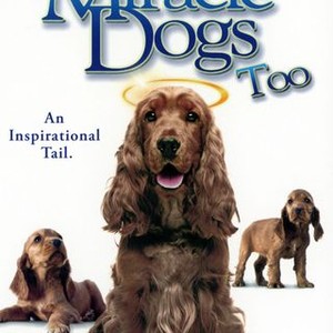 Miracle Dogs Too (2006) photo 14