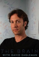 The Brain With David Eagleman poster image