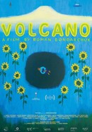 Volcano poster image