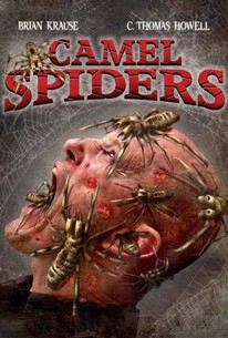 Watch trailer for Camel Spiders