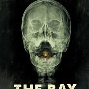 The Bay (2012) photo 15