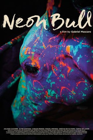 Neon Bull poster