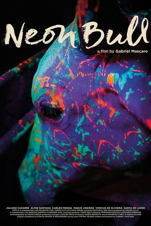 Neon Bull poster