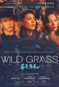 Watch trailer for Wild Grass