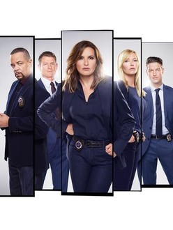 Law and order svu season 20 123movies store