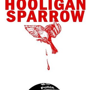Hooligan Sparrow photo 3