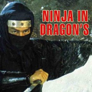 Ninja in the Dragon's Den photo 12