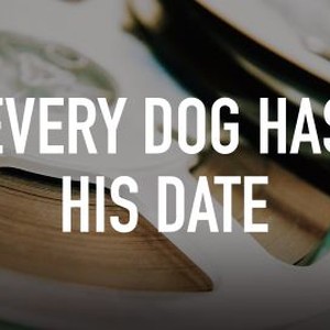 Every Dog Has His Date photo 4