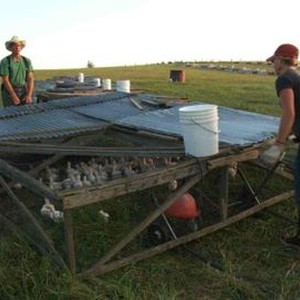 FARMAGEDDON, Joel Salatin, 2011. ©Kristin Canty Productions