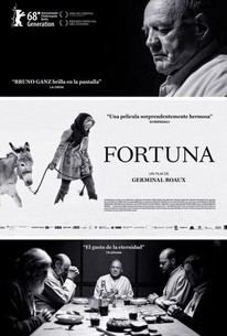 Fortuna poster