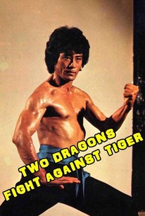 Poster for Two Dragons Fight Against Tiger