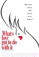 What's Love Got to Do With It poster image