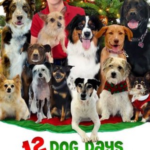 12 Dog Days Till Christmas (2014) photo 10