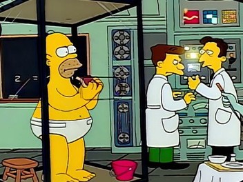 The simpsons season 1 episode 1 free online