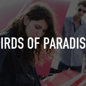 "Birds of Paradise photo 1"