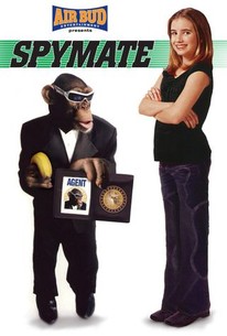 Spymate poster
