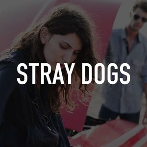 Stray Dogs photo 5