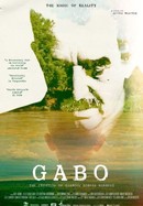 Gabo, the Magic of Reality poster image