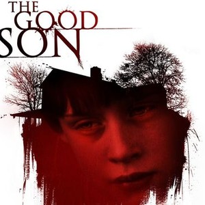 The Good Son photo 9