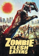 Zombie Flesh-Eaters poster image