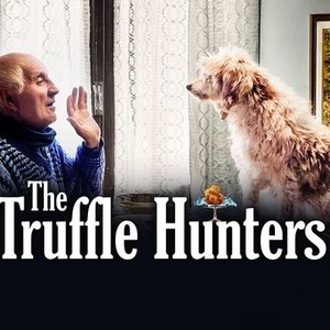 The truffle hunters streaming clearance