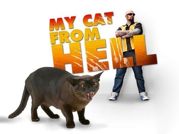 My Cat From Hell Season 4 Episode 3 Rotten Tomatoes