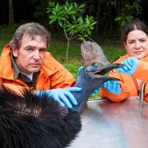 Inside Nature's Giants: Season 3, Episode 4 - Rotten Tomatoes