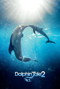 Dolphin Tale 2 | Rotten Tomatoes